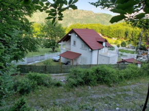 Vila 86